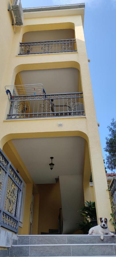 Apartments Sofija Slatine Bagian luar foto